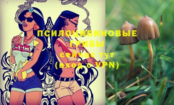кокаин колумбия Козельск