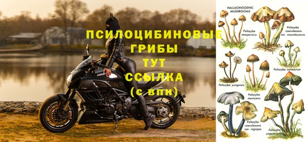 ALPHA-PVP Кодинск