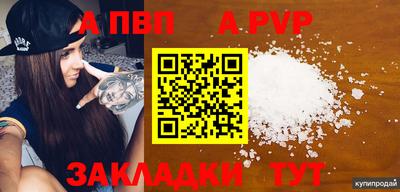 амф Гусев