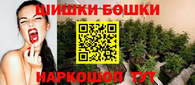 амф Гусев