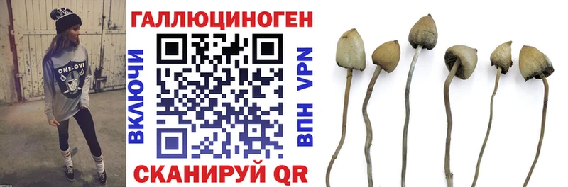 Галлюциногенные грибы мицелий  цены   Куйбышев 
