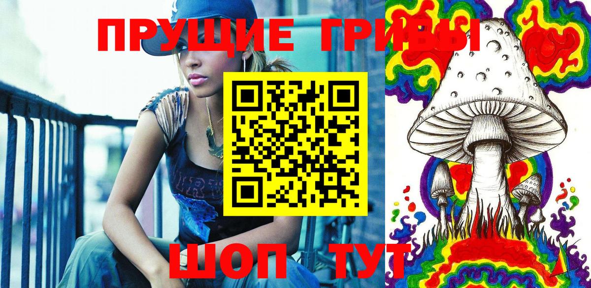 Галлюциногенные грибы Psilocybe Куйбышев